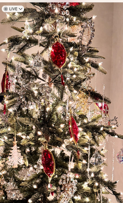 Red Acrylic Ornament