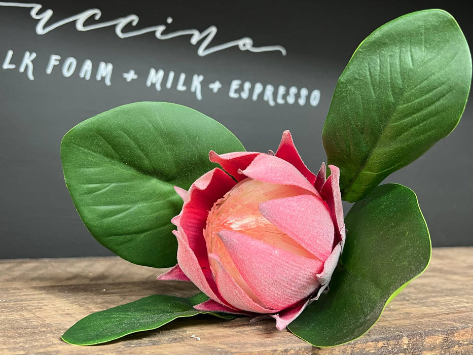 21"Quality Artificial King Protea Cynaroides-real touch leaf: Natural White