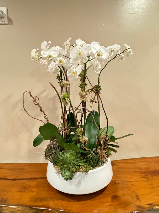 36" Real touch Phalaenopsis Orchid-Large bloom 9 Flowers: Natural Fuchsia