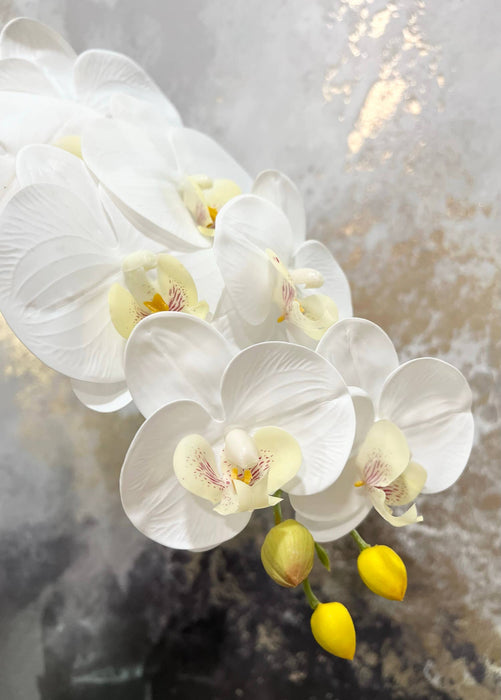 36" Real touch Phalaenopsis Orchid-Large bloom 9 Flowers: Natural Fuchsia