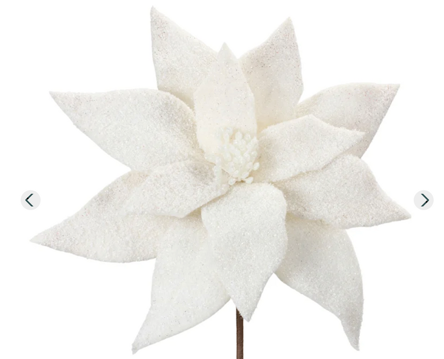 White Velvet Holiday Flowers