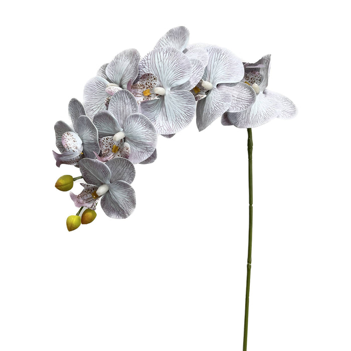 36" Real touch Phalaenopsis Orchid-Large bloom 9 Flowers: Natural Fuchsia