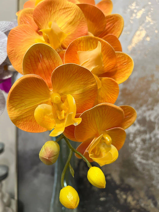 36" Real touch Phalaenopsis Orchid-Large bloom 9 Flowers: Natural Fuchsia