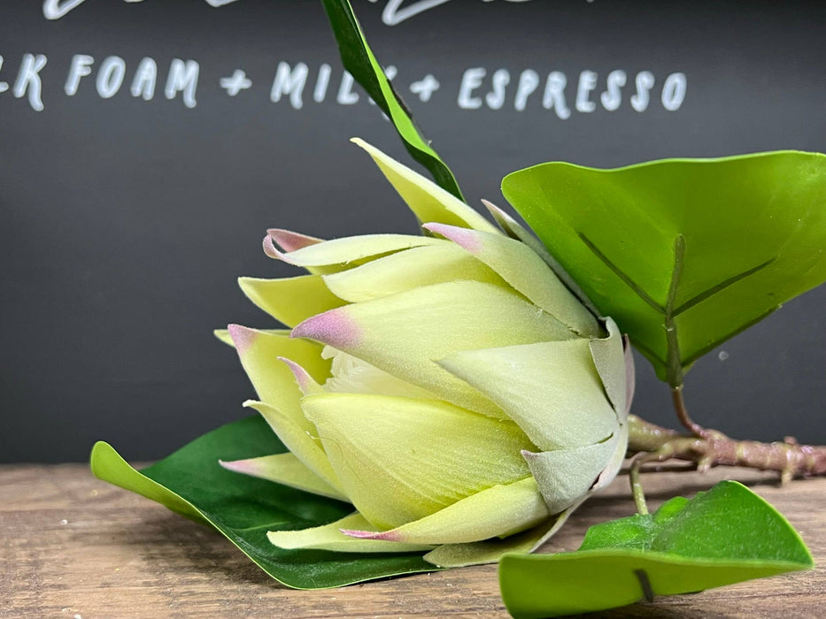 21"Quality Artificial King Protea Cynaroides-real touch leaf: Natural White